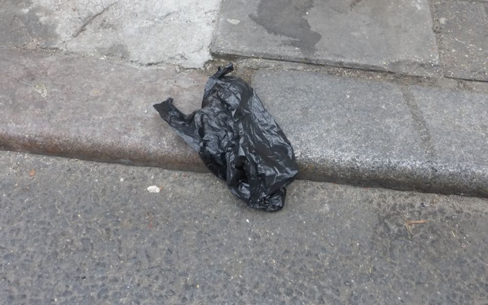 Dog poo in bag on street.